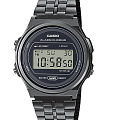 Часы Casio Collection A171WEGG-1A